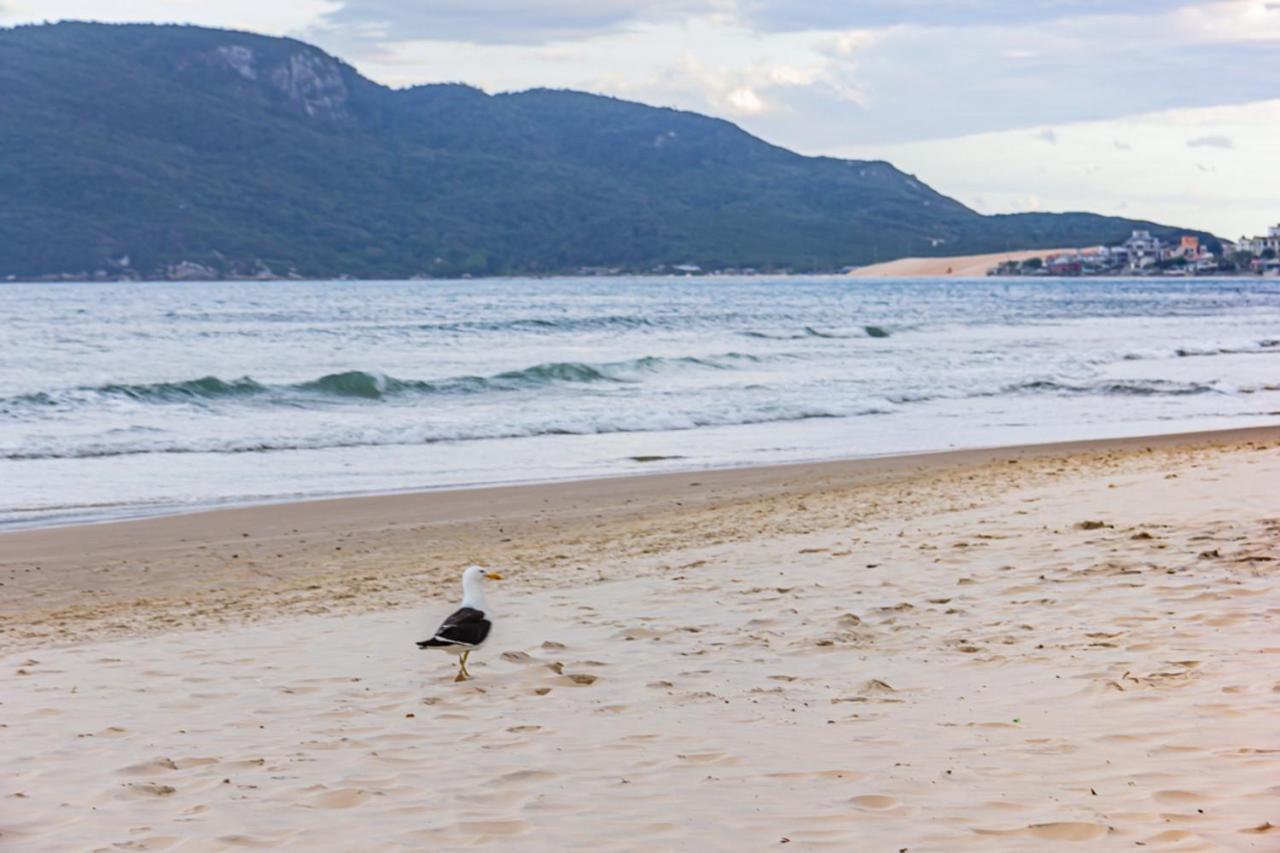 Cobertura Com Vista Mar Para 6 Hospedes, 150 Metros Da Praia Dos Ingleses Ing17 Florianópolis Eksteriør bilde